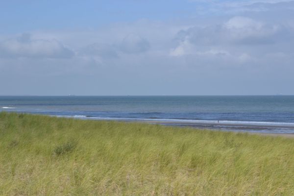 Fletcher Hotel-Restaurant Elzenduin (Hollande-Méridionale/ Mer du Nord)
